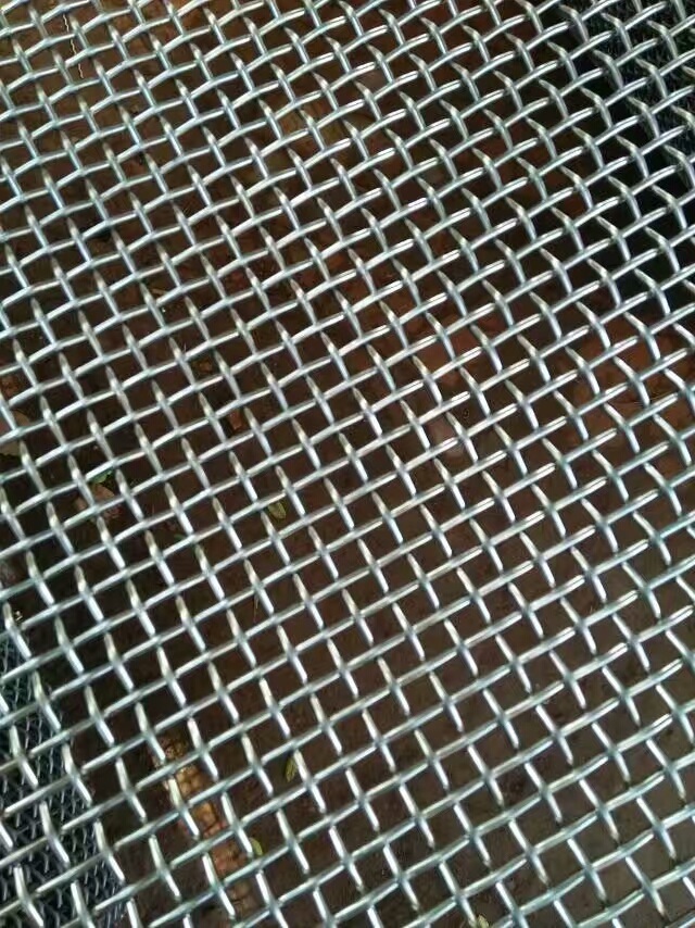 ɸ